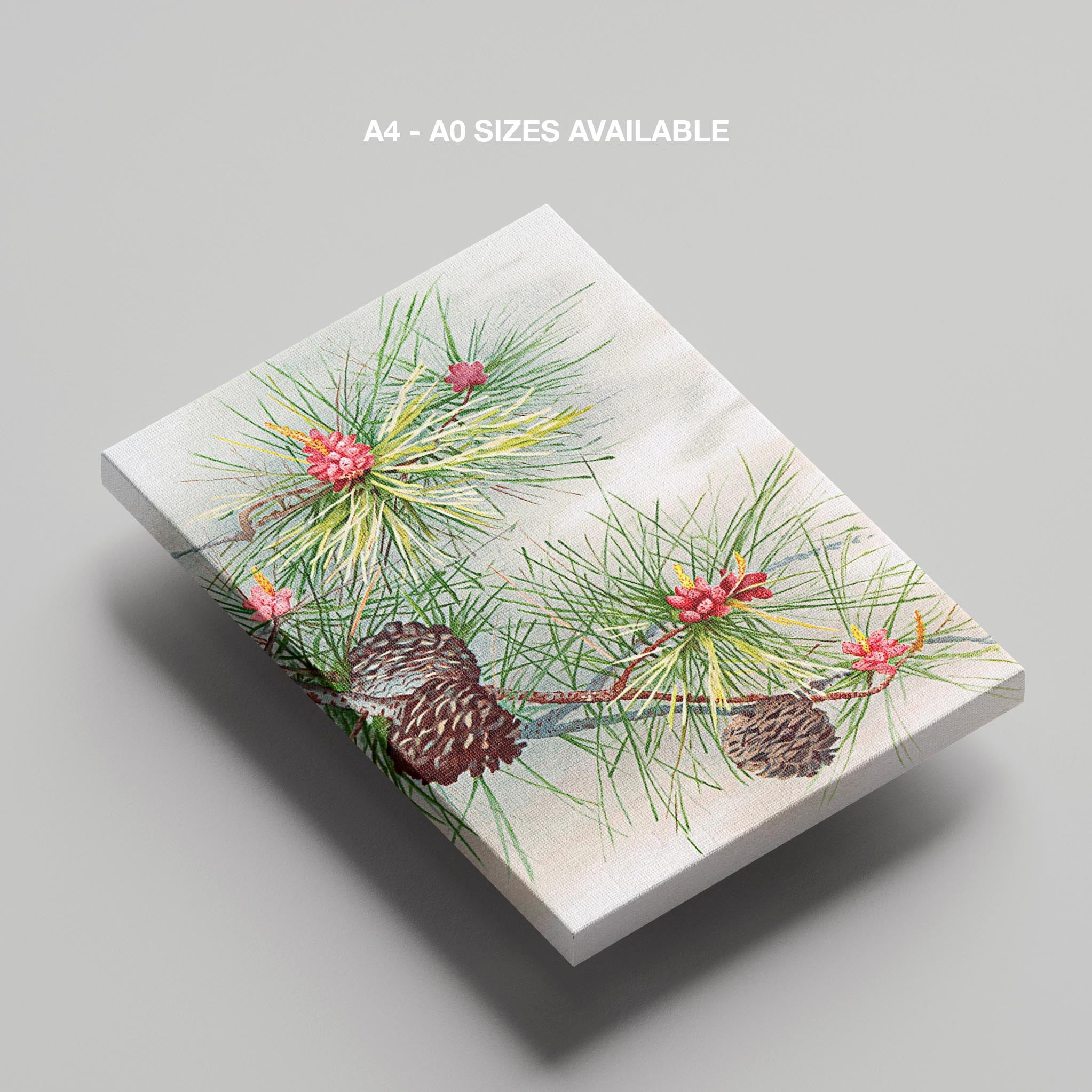 Festive Christmas Holly Leaf Illustration - Framed Canvas Wall Art Print | House Prints