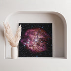 Wolf-Rayet Star - NASA James Webb Telescope - Framed Canvas Wall Art Print | House Prints